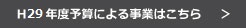 H29年度予算による事業はこちら