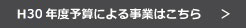 H30年度予算による事業はこちら