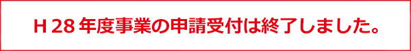 H28年度事業終了