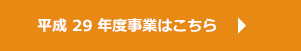 平成29年度事業はこちら