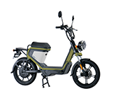 PEV600