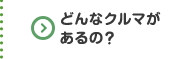 どんなクルマがあるの？